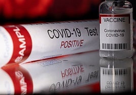 OMS mantiene todas las hipótesis sobre el origen del Covid-19 sin descartar una fuga de laboratorio