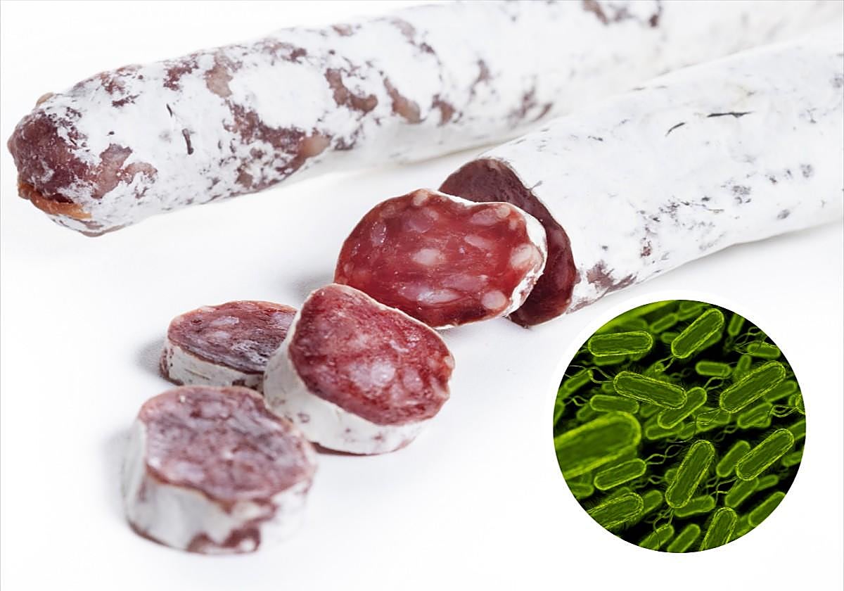 Fuet y Salmonella