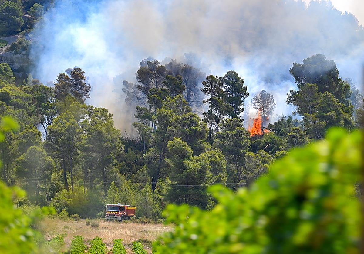 Imagen del incendio forestal en el sur de Francia.