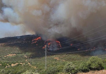 Incendios en España hoy, en directo: última hora del fuego en Madrid León, Orense y Tarifa