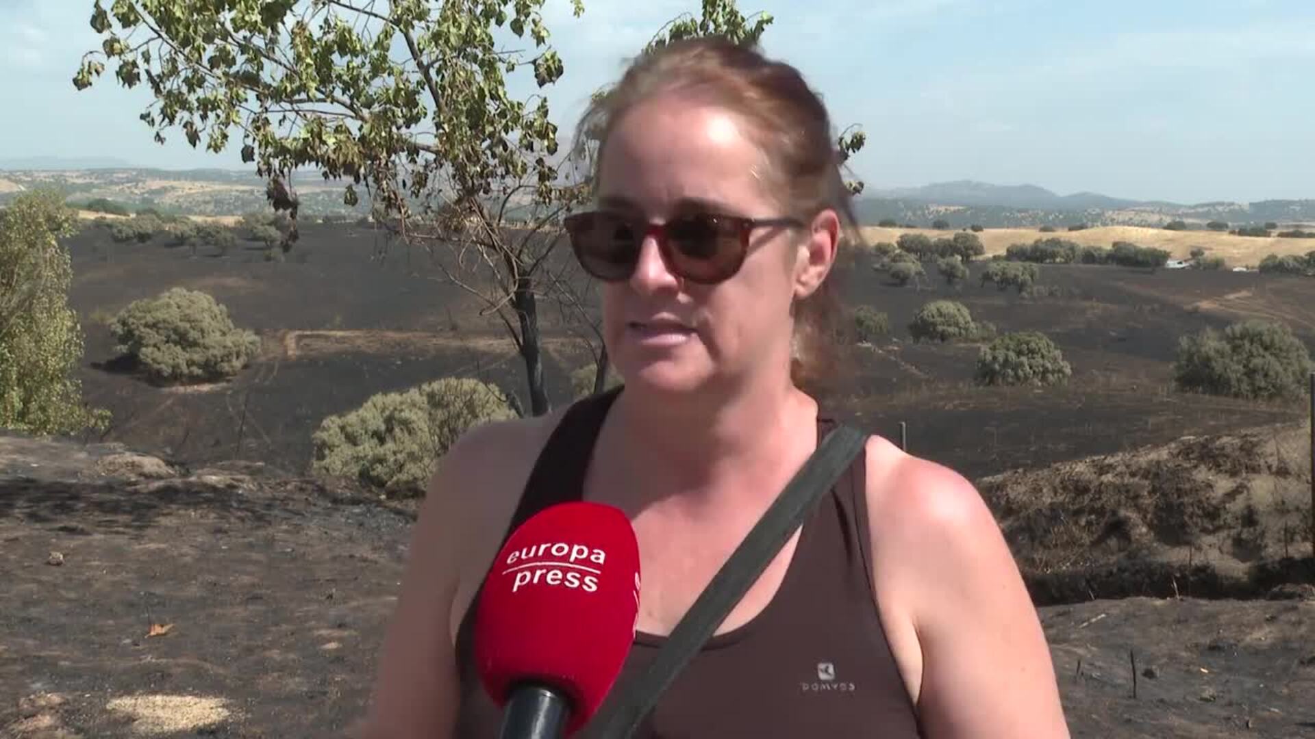 Los vecinos de Tres Cantos denuncian el abandono forestal
