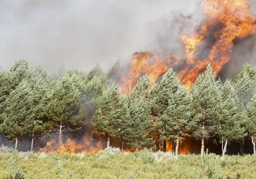 Los incendios no dan tregua: el avance de las llamas se recrudece en Orense y la situación es «extrema» en Castilla y León