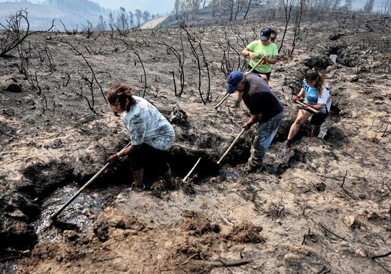 El fuego no cesa en Galicia, con comportamientos «anómalos» en Castilla y León y pronóstico desfavorable en Extremadura