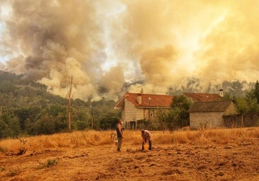 Incendios en Castilla y León, Extremadura, Galicia, Asturias y resto de España hoy, en directo: fuegos activos y última hora