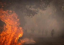 El mapa de los incendios en España: la superficie quemada este año es la mayor de las tres últimas décadas