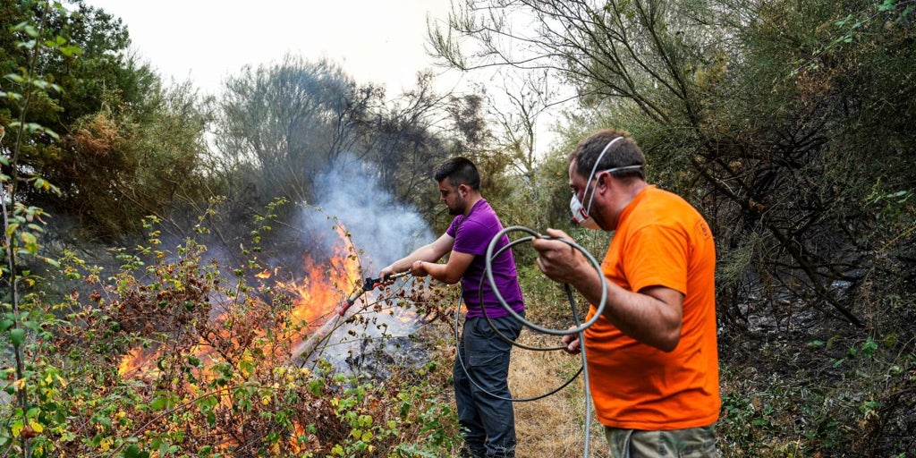León contra las llamas: «Esto se muere y no hay forma de hacer nada»