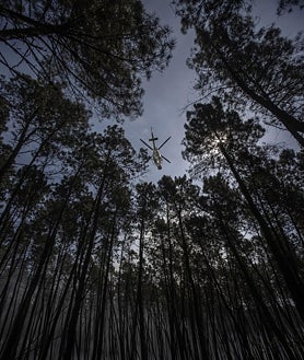 Imagen secundaria 2 - Virginia, rodeada de garrafas en A Veiga das Meás (arriba) / Josefina y Simeón, frente a su casa en Vilar de Cervos (izq.) / Helicóptero sobrevuela un pinar quemado en Vilardevós