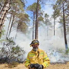Javier Madrigal, experto en incendios forestales: «Lo que estamos viendo hoy son sesenta años de abandono rural»