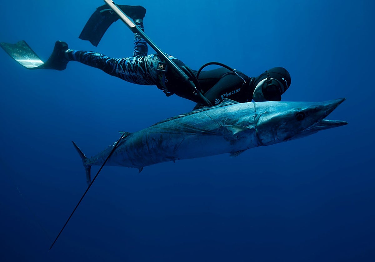 Un hombre realiza pesca submarina en una imagen de archivo