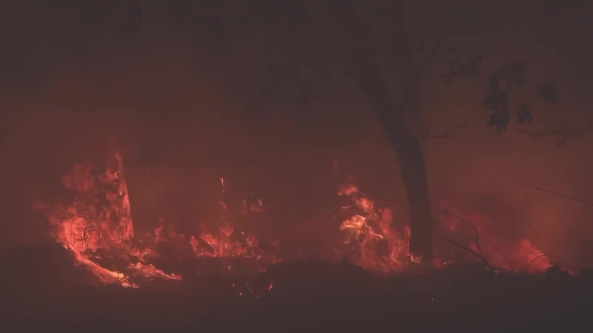Casi 400.000 hectáreas han ardido en España en 2025, la mayoría en agosto, según Copernicus
