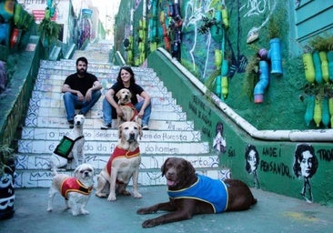 Los perros de asistencia: un recurso imprescindible que sigue sin el reconocimiento social y legal que merece