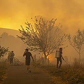 Estado y CC.AA. invierten un 50% menos en prevención de incendios que hace 13 años