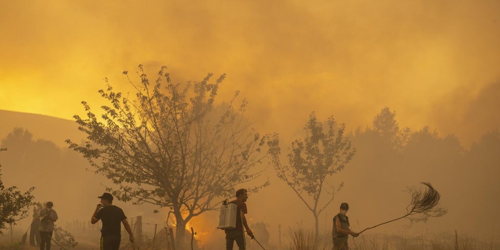 España recortó a la mitad el gasto en prevención en incendios en 13 años