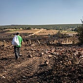 El 95% de las áreas quemadas no tienen seguro: «¿A mí quién me paga el bosque?»