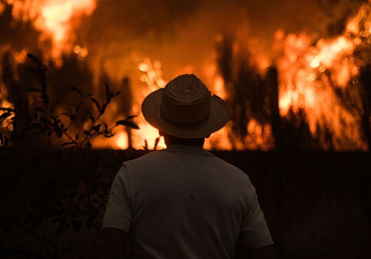 El agosto que calcinó España: el fuego arrasa una de cada 140 hectáreas del país