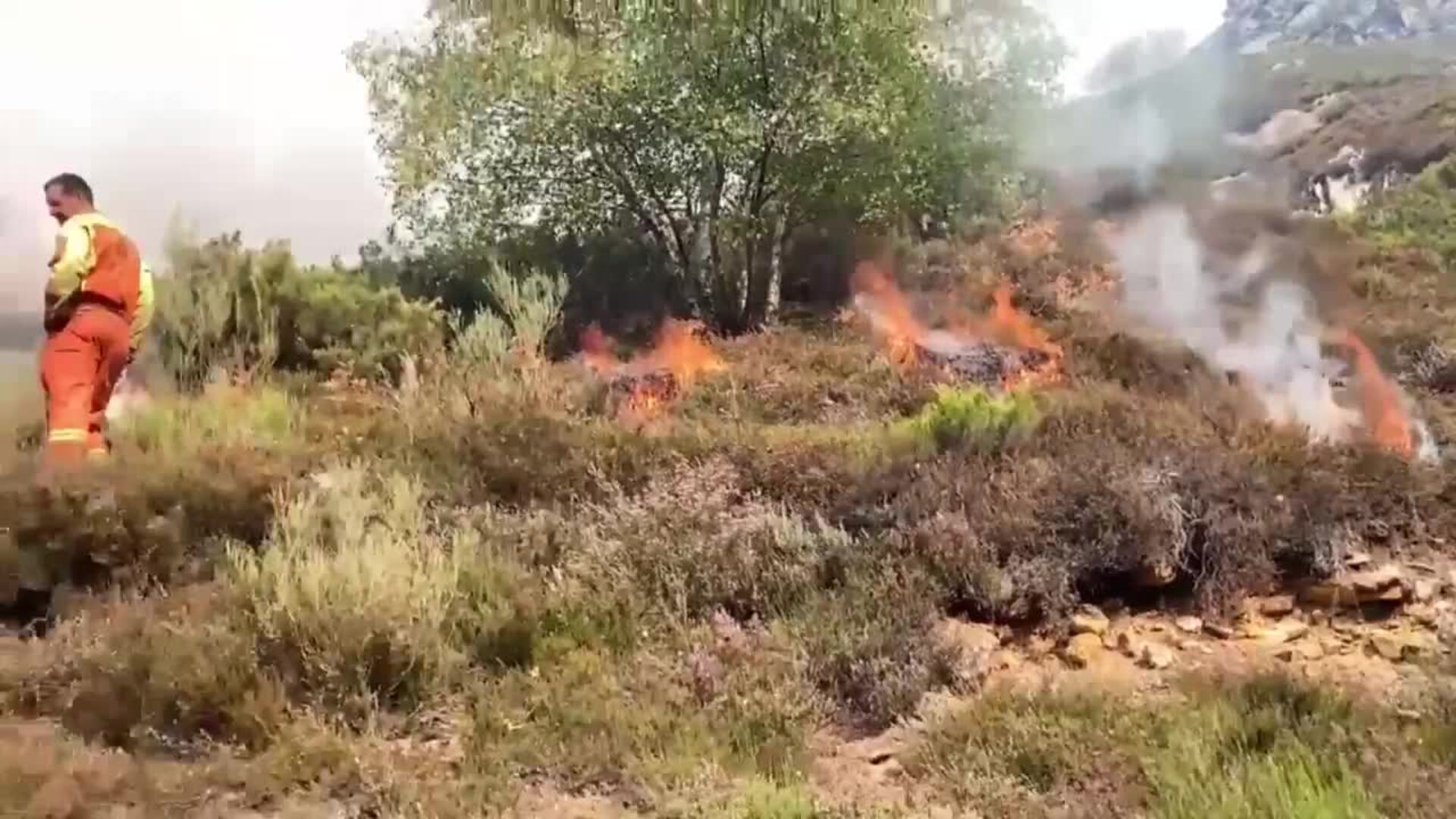 La UME se aplica en la lucha contra los incendios forestales de León y Asturias