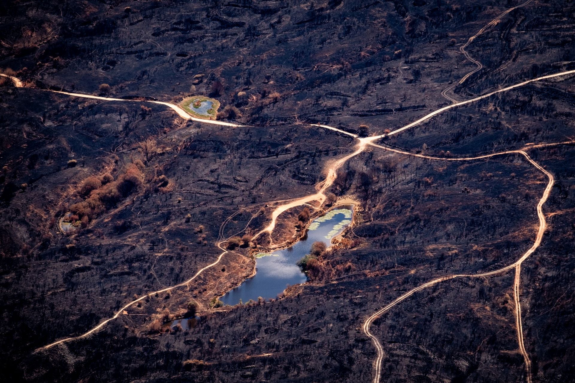 La zona colindante a Las Médulas presenta pequeñas masas de agua, que tienen su origen en la antigua actividad minera. El lago Somido se encuentra en el sector III de la mina de Las Médulas, característico por su vegetación acuática —en especial, los nenúfares blancos— y la pequeña fauna de su entorno
