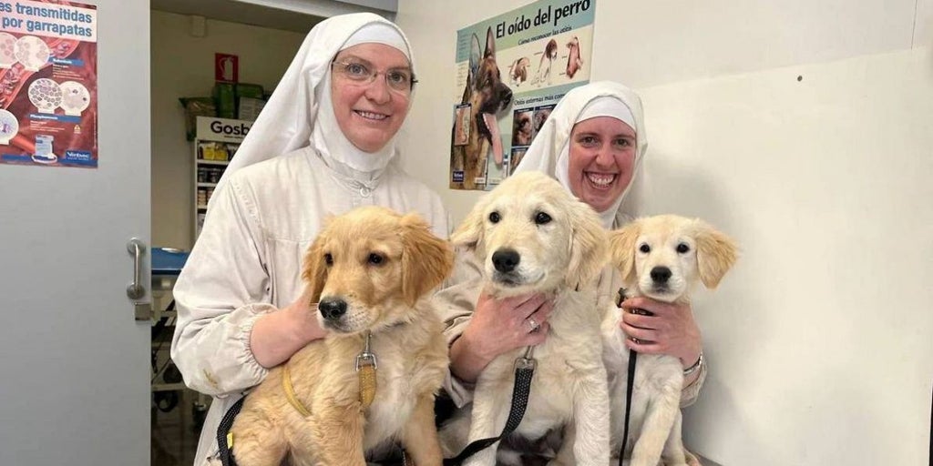 Las exclarisas de Belorado denuncian el intento de envenenar a sus perros en Asturias