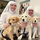 Las exclarisas de Belorado denuncian el intento de envenenar a sus perros