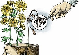 Investigadores detectan sesgos en sus propios estudios: «El problema de la salud mental en jóvenes no es tan alarmante como lo hemos pintado»