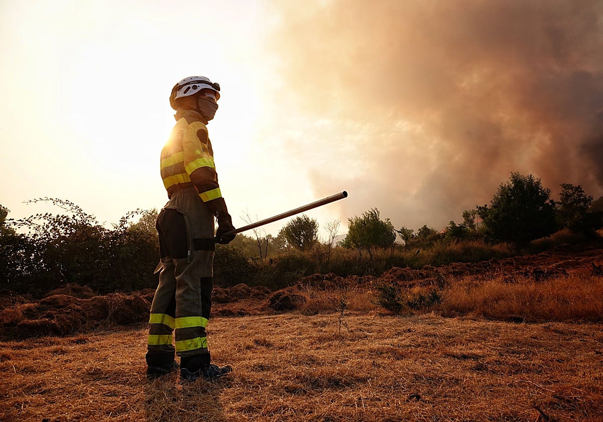 Un bombero forestal en una imagen de archivo