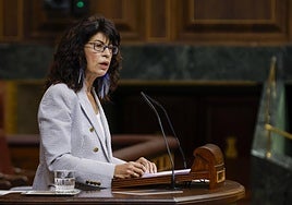 Vox exige a la Comisión Europea investigar al Gobierno por el escándalo de las pulseras para maltratadores