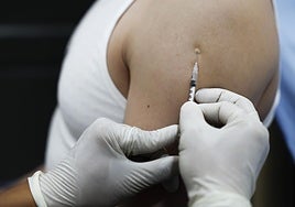 Detectado en Madrid el primer caso importado en España de viruela del mono del clado 1b