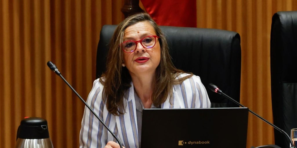 La Delegada del Gobierno contra la Violencia de Género pide «perdón» a las víctimas por la «desinformación» con las pulseras telemáticas y niega su desprotección