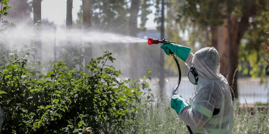 Extremadura suma un nuevo fallecido por virus del Nilo: es el tercero en lo que va de año
