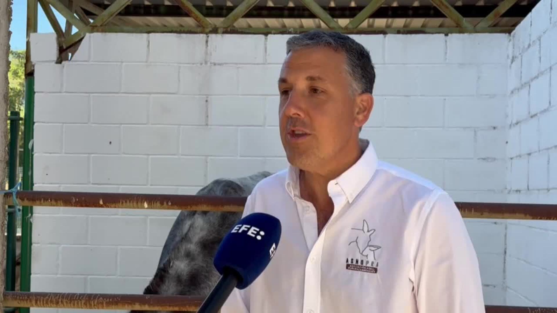 El asno andaluz y la memoria rural