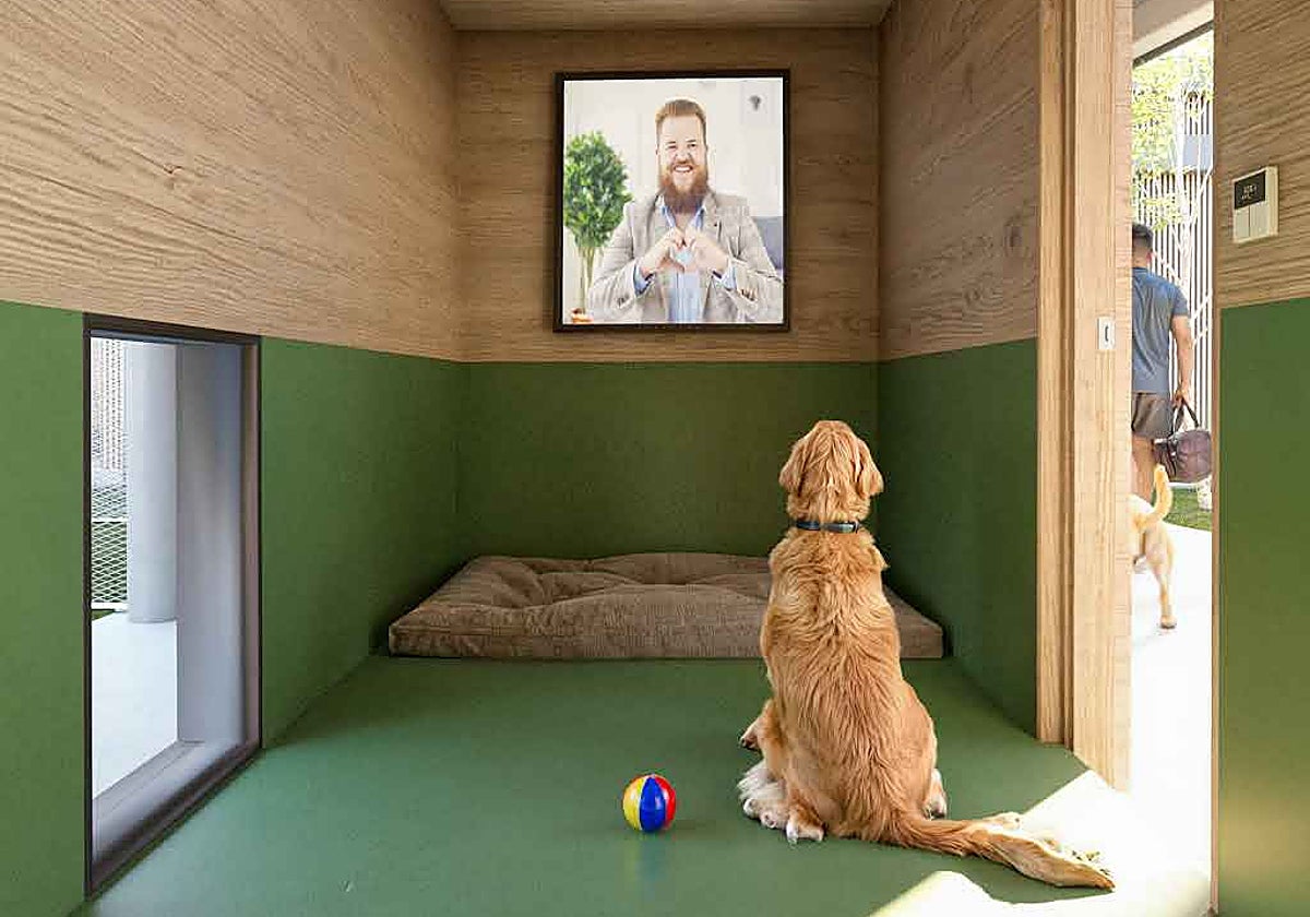 Un hotel de lujo para perros en el aeropuerto de Roma con spa y aromaterapia