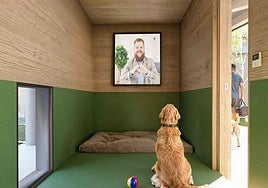 Un hotel de lujo para perros en el aeropuerto de Roma con spa y aromaterapia