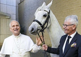 Regalan al Papa un caballo pura raza árabe