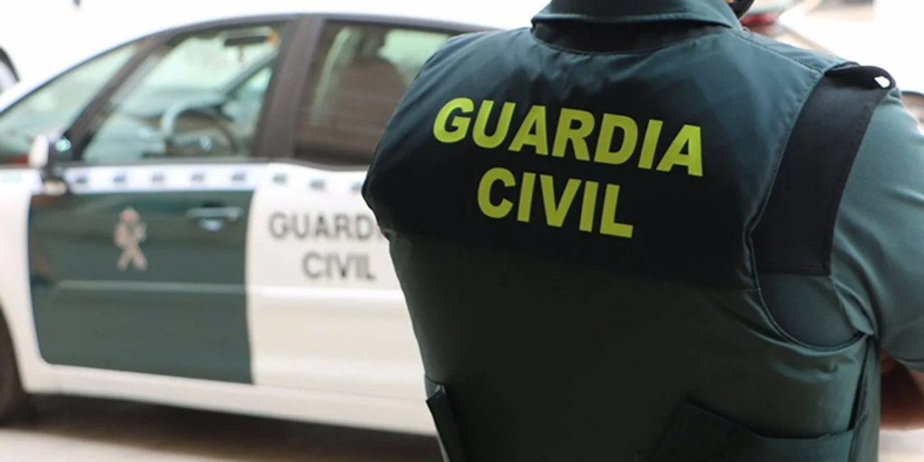 Investigan a un vecino de Murcia por tener seis tortugas protegidas en el jardín de su casa