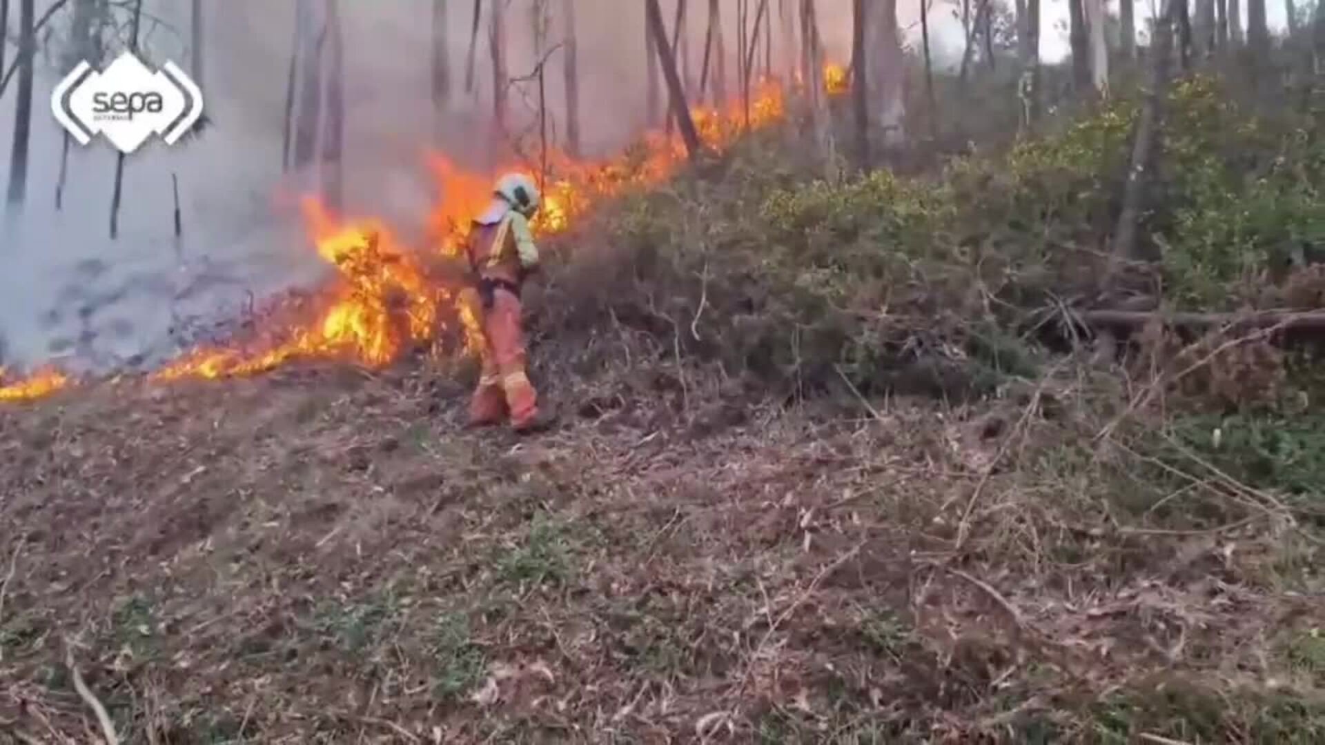 Cinco incendios forestales activos y tres controlados en Asturias