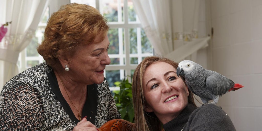 El Gobierno expropia un loro a una mujer de 75 años: «El trato fue inhumano»