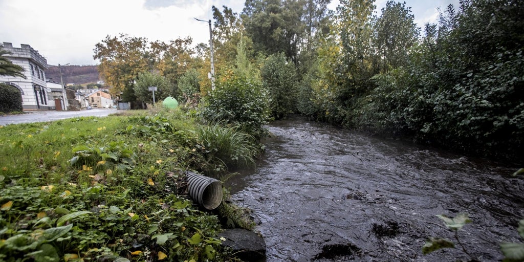 Las cenizas de los incendios del verano envenenan ahora los ríos