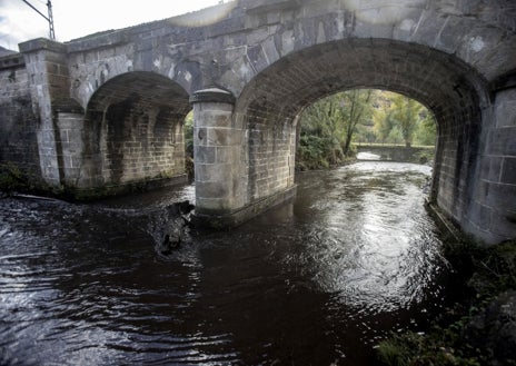 Secondary image 1 - In the Valdeorras (Ourense) region, some rivers shine with an oily, tar-like sheen due to mountain ash burned this summer.