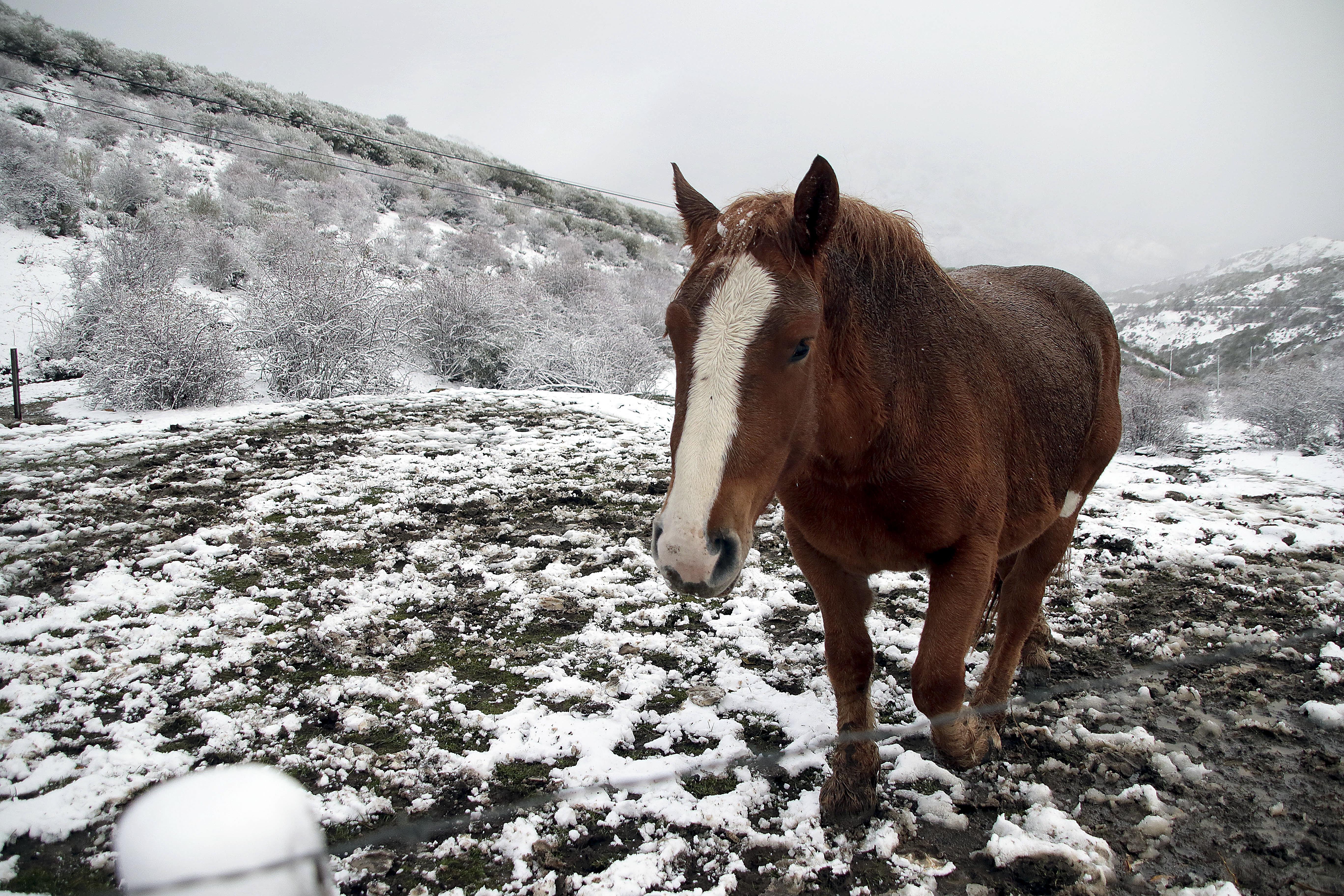 La nieve obliga a usar cadenas en cuatro tramos viarios de las provincias de Burgos y León