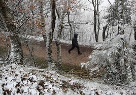 El primer zarpazo invernal llega a España, en imágenes