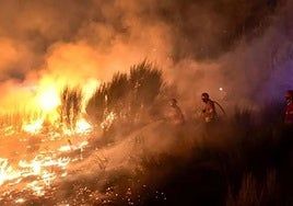 Once bomberos portugueses investigados por la presunta violación de un compañero de 19 años en una novatada