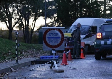 Claves de la peste porcina africana: cómo se contagia, a quién afecta y cuándo volveremos a la normalidad