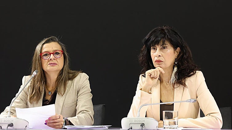 Hay 2,7 millones de mujeres que han sufrido violencia física o sexual de su pareja, según Igualdad