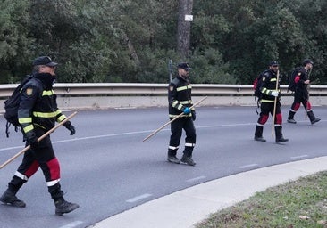 La AP-7, la vía de máximo riesgo para la expansión de la peste porcina africana