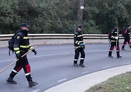 La AP-7, la vía de máximo riesgo para la expansión de la peste porcina africana