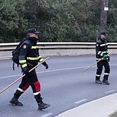La AP-7, la vía de máximo riesgo para la expansión de la peste porcina africana