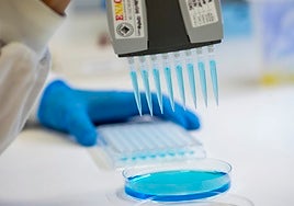 Trabajos de investigación en el laboratorio Hipra