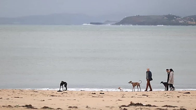 Tiempo en Oleiros (A Coruña)
