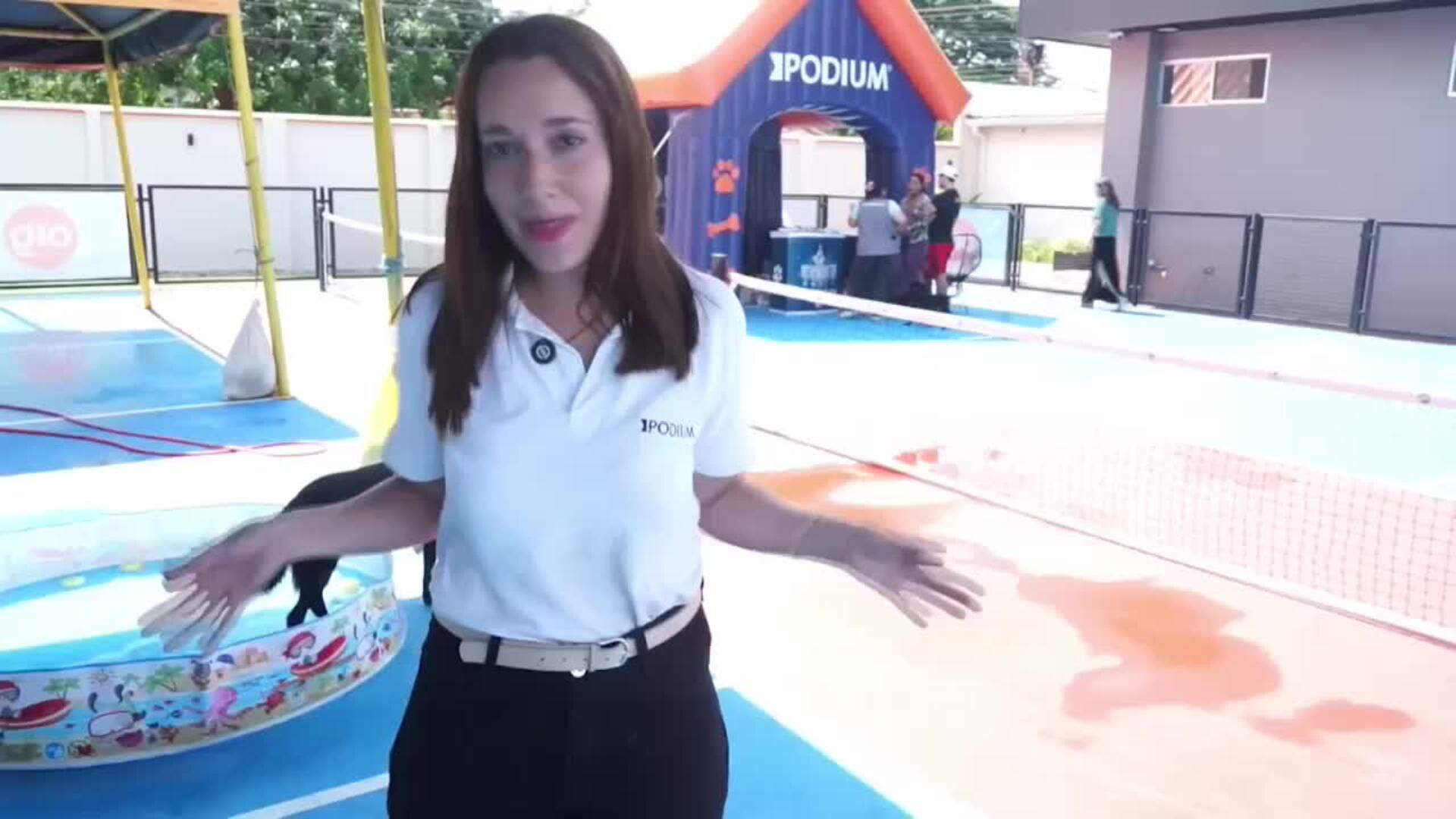 El &#039;Perrotón navideño&#039; incentiva la adopción de mascotas adultas y enfermas en Bolivia