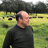 Image - “To talk about the plague was to mention the bug. 